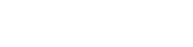 Domino Consultants